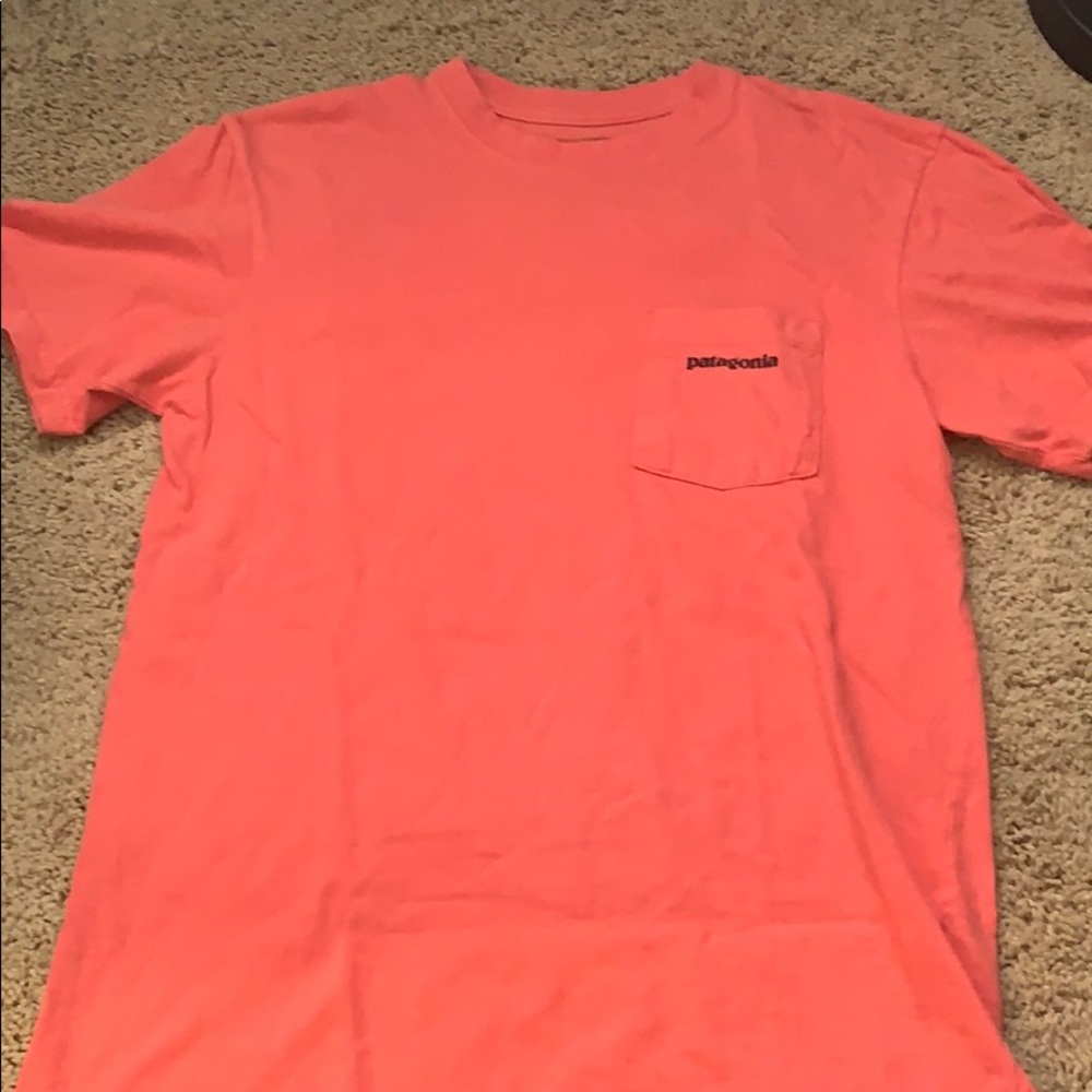 Patagonia t-shirt